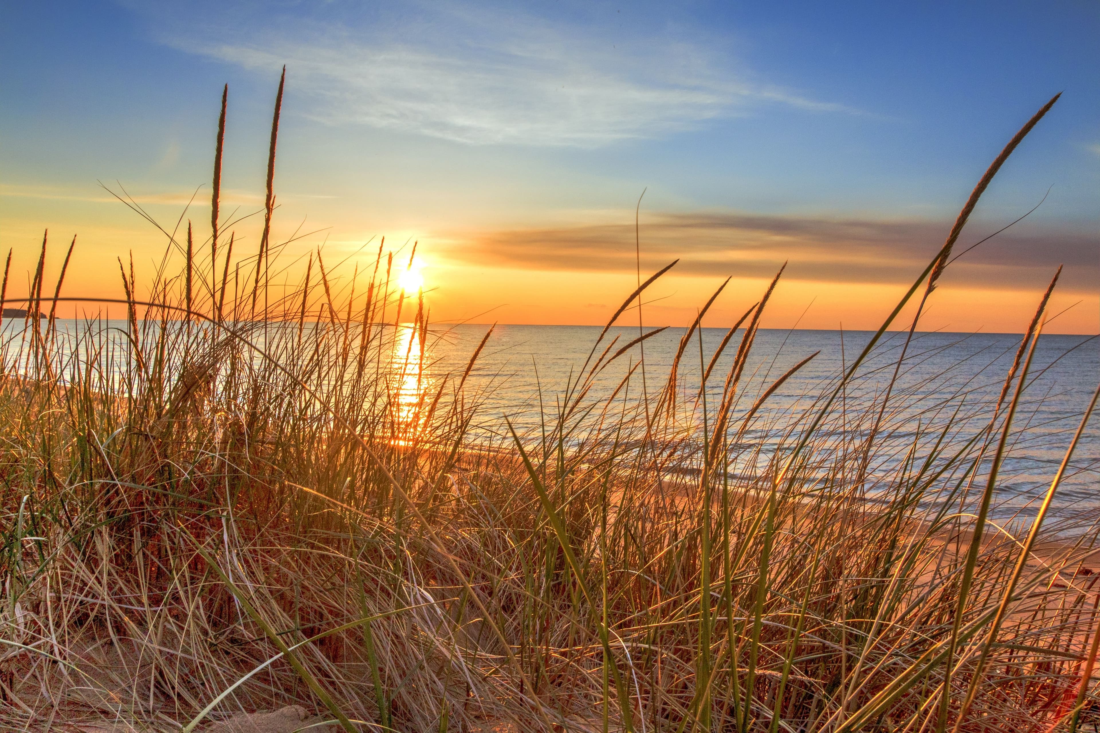 New Beginnings: From Classrooms to Cloud Computing